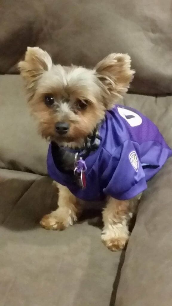 Qt in his jersey