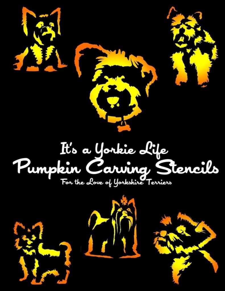 pumpkin-carving-stencils-front