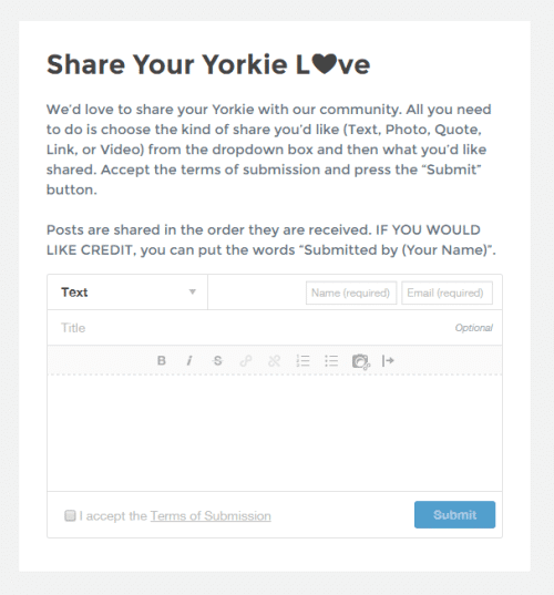 share-your-yorkie-love-1