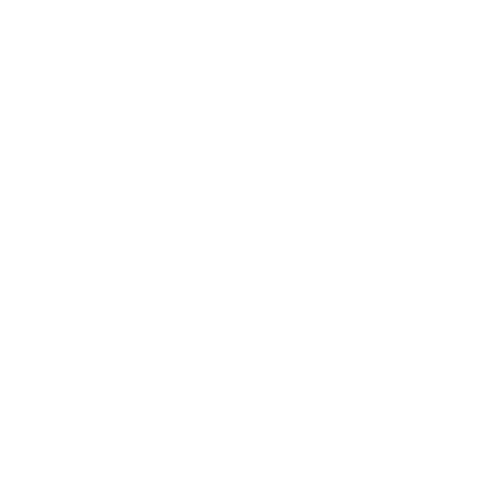 Every Yorkie Deserves a Home