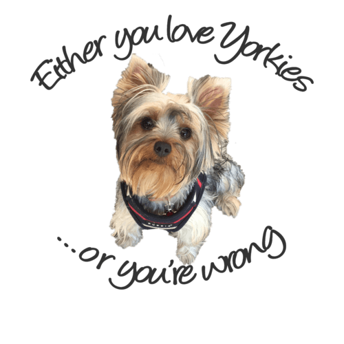 Either You Love Yorkies