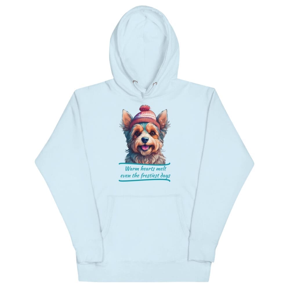 unisex-premium-hoodie-sky-blue-front-674f7fe5e35de.jpg